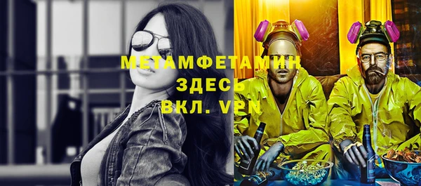 шишки Инта
