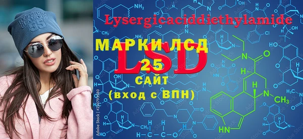 ПСИЛОЦИБИНОВЫЕ ГРИБЫ Инсар