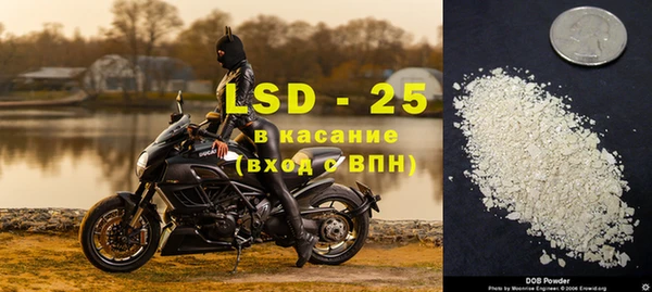 ПСИЛОЦИБИНОВЫЕ ГРИБЫ Инсар