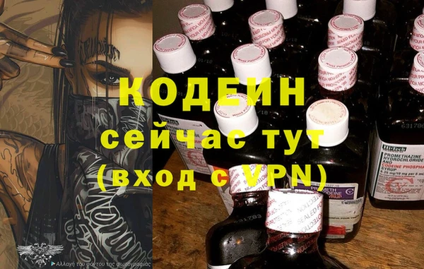 ПСИЛОЦИБИНОВЫЕ ГРИБЫ Инсар