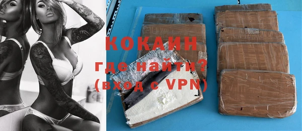 шишки Инта