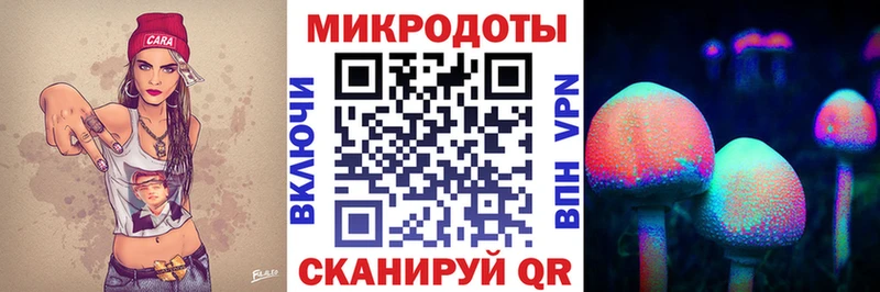 Купить закладки  Шацк  Псилоцибиновые грибы GOLDEN TEACHER 